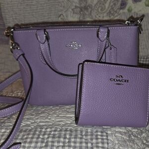 Coach Iris Mini Gallery Crossbody Handbag CH198 and Small Iris Wallet CL653